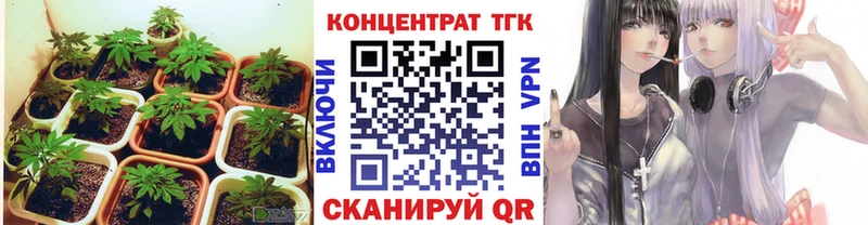 shop формула МЕГА как зайти Ахтубинск ТГК THC oil